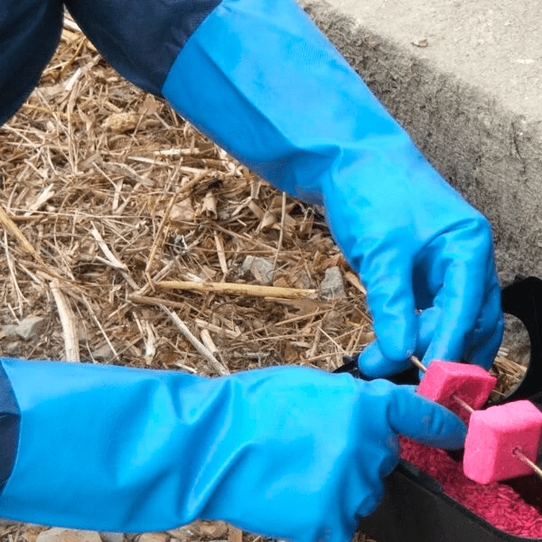 Trampas para Ratas y Ratones