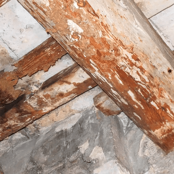 Viga atacada por termitas